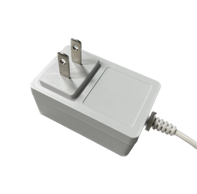 Level 6 Energy Efficiency Standard Power Supply